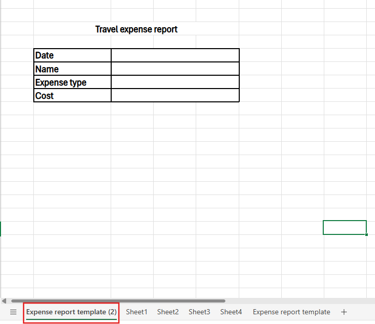 duplicated worksheet