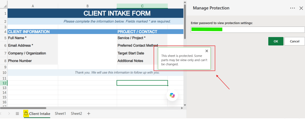 check worksheet protection settings